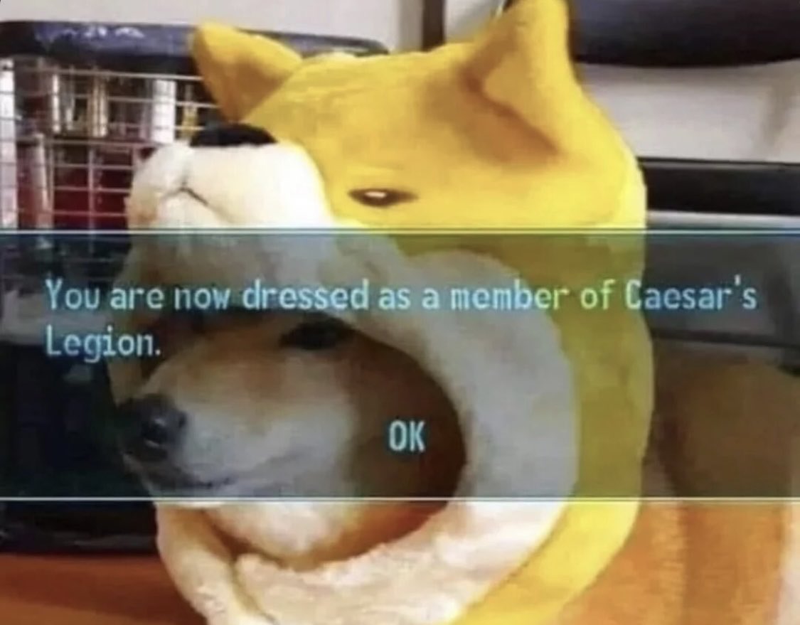 Franky Moretti tweet media