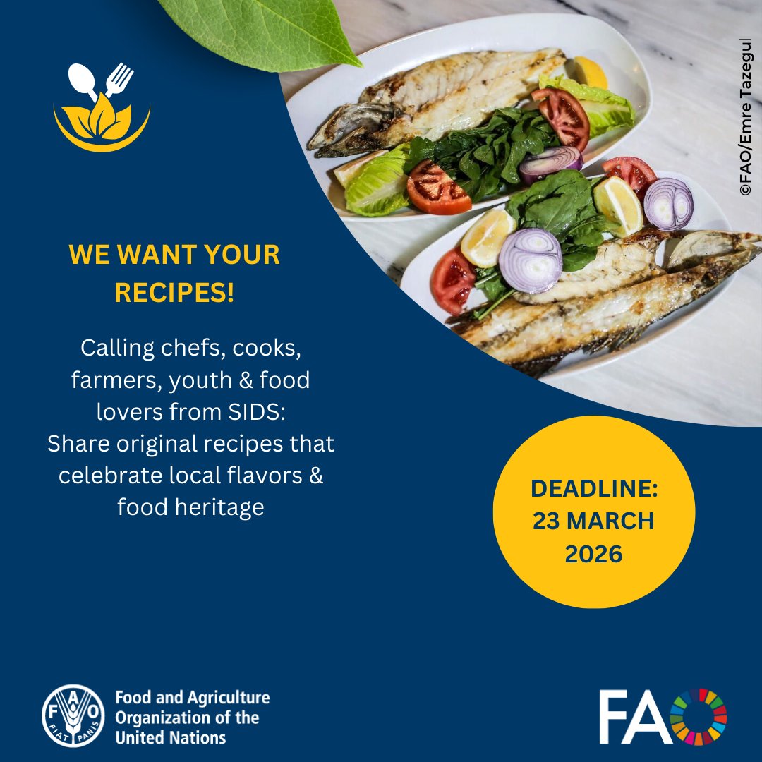FAO in the Caribbean tweet media