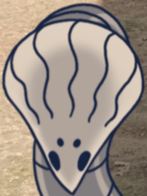 IamthegreatGorb's tweet photo. I Gorb, inhabitant of the Howling Cliffs does not recognize the Pale King as monarch or his rule over Hallownest.
#freeHallownestfromthePaleking
#Notmyking
#HowlingCliffs
#jointhehive https://t.co/0N0ti2kiVe