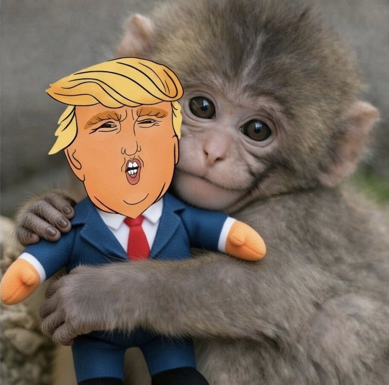 Trump Mania | Community Managed tweet media