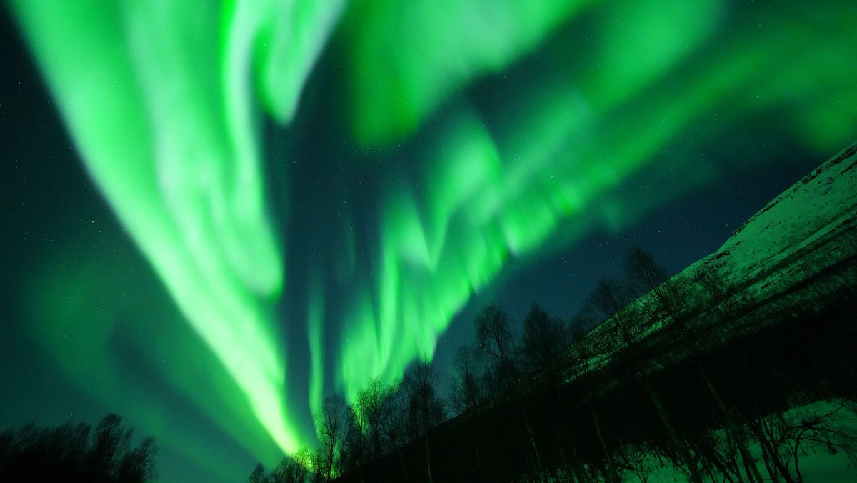 Upintheair380's tweet photo. The Northern Lights! The first time I saw them was from the window of an aircraft overflying the Arctic Circle.
However nothing like seeing them from the ground up, from the Paris of the North - Tromso, Norway! Bucket List ✅ #Avgeek #snowmobiling #husky #Bucketlist @ThePointsCode