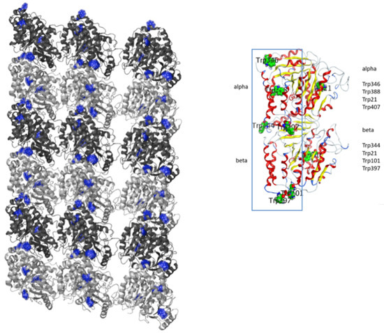Dynamics MDPI tweet media