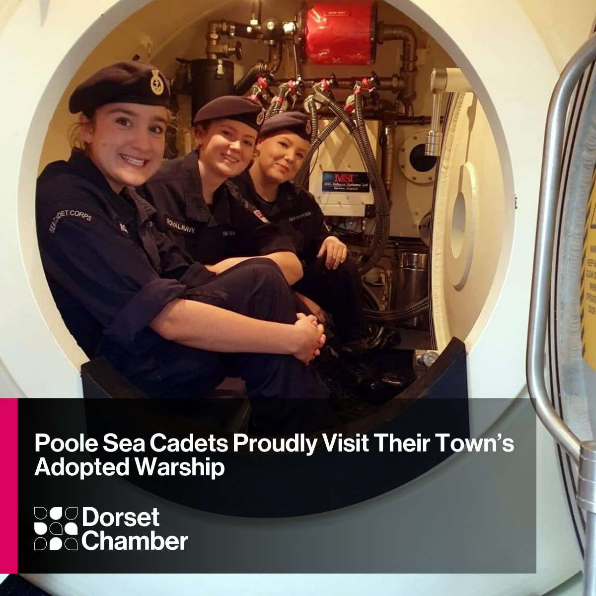 DorsetChamber's tweet photo. Every day, Dorset Chamber brings you the latest news from across the Dorset business community.
This afternoon, read the latest news from: @AAttractionsLtd, @ForestHolme, @PooleSeaCadets, and @WessexCancer.
Read the articles: https://t.co/6UXvGhu9Kc
#WeAreDorset #DorsetNews https://t.co/ayM7bOGQwZ