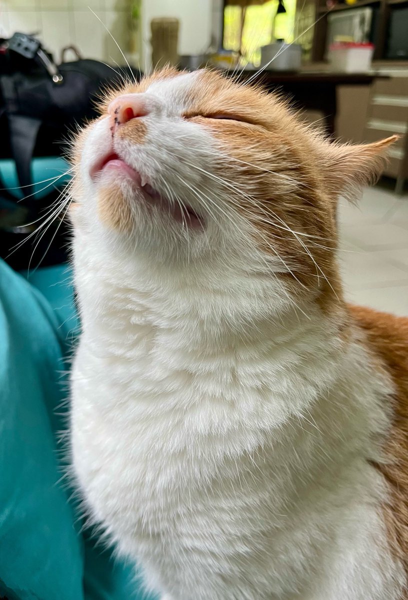 .                          カ
　　　　　      ・
　　　　　      イ
　　　　　      ・
　　　　　      カ
　　　　　      ・
　　　　　      ン
　　　　　      ：
　　　　　      ：