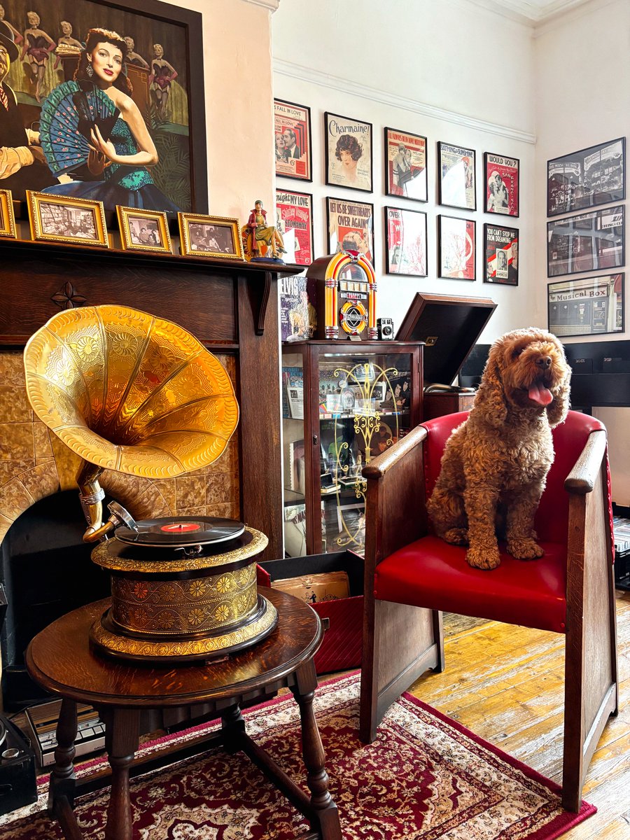 The Musical Box Record Shop tweet media