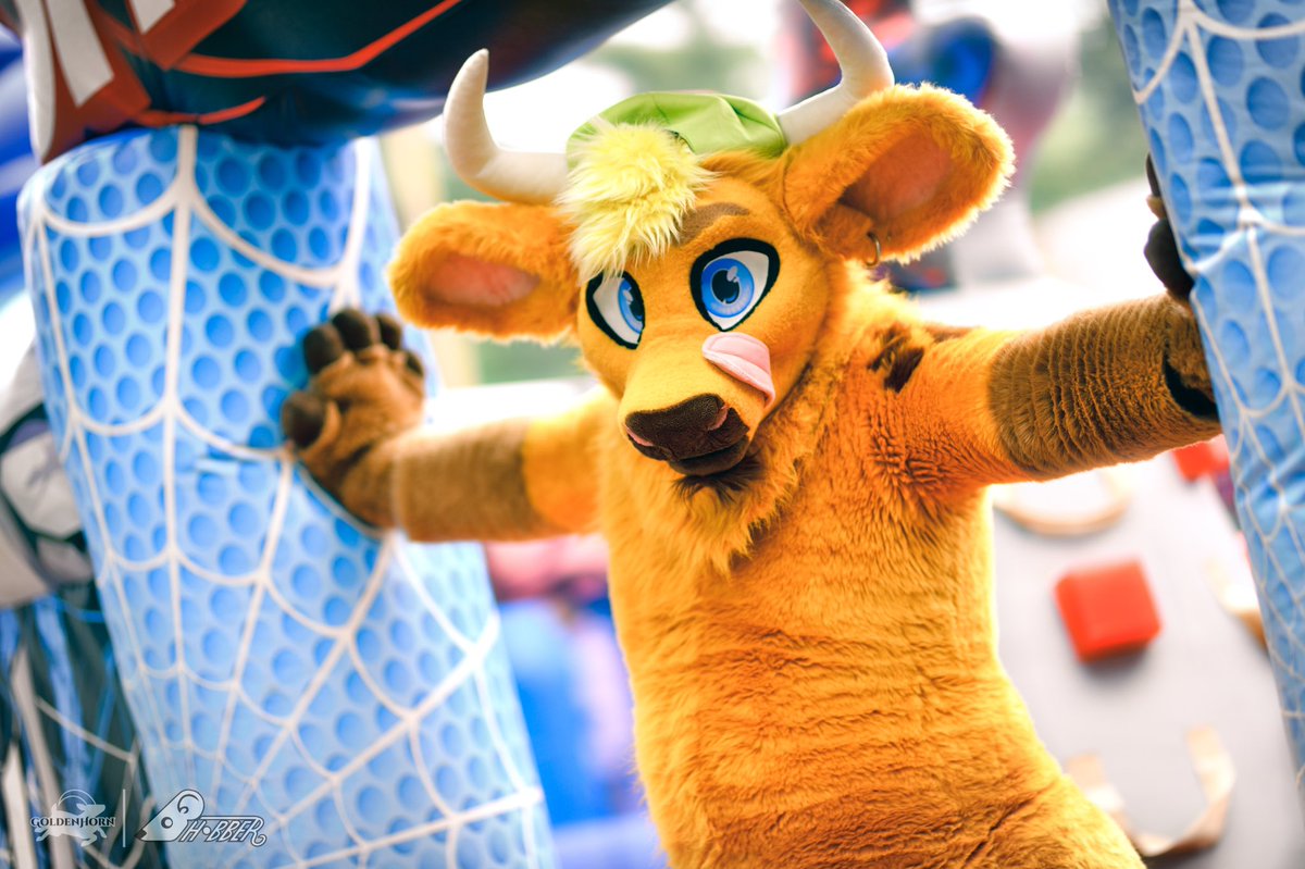 ✨ GoldenHorn Convention ✨ tweet media