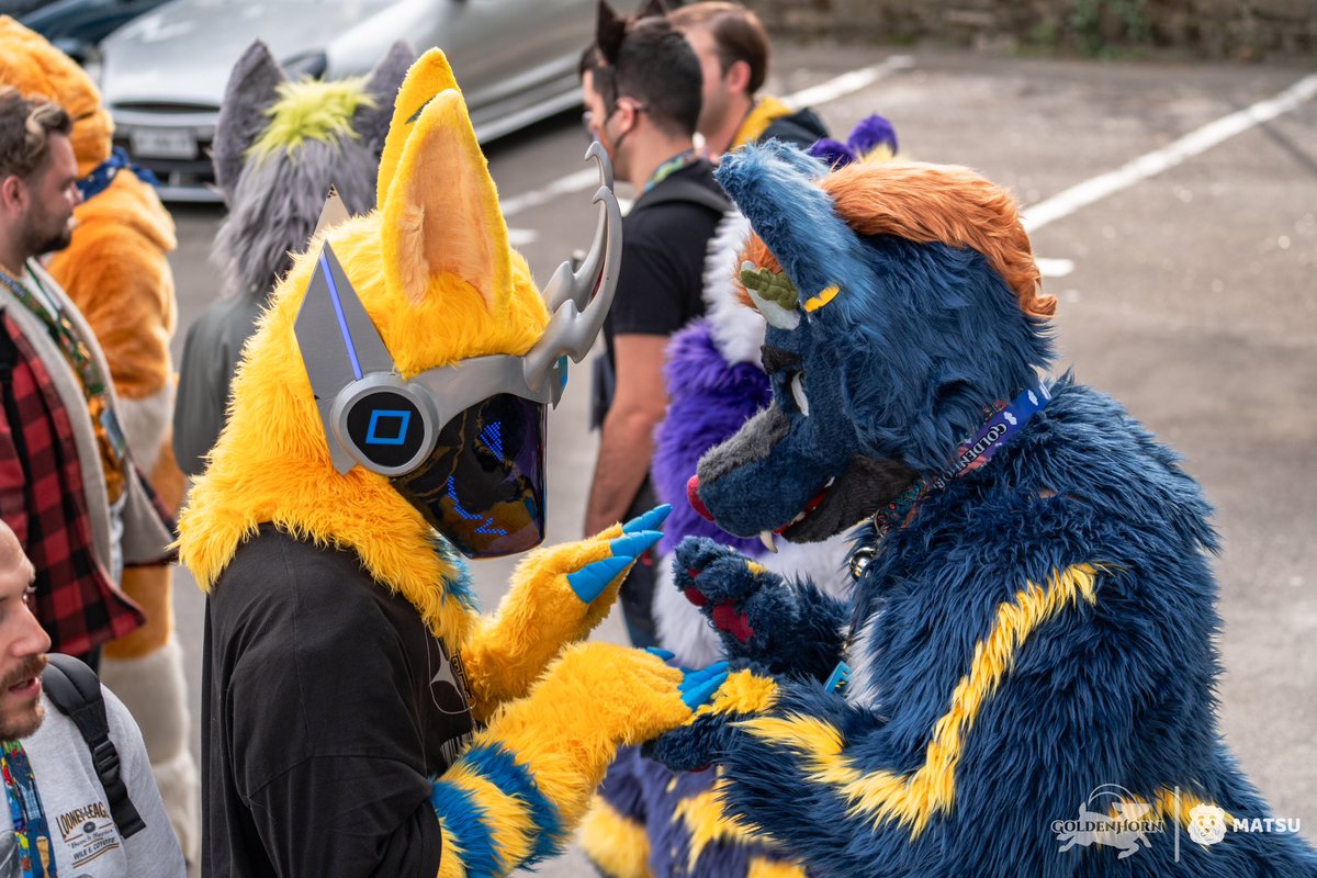 ✨ GoldenHorn Convention ✨ tweet media