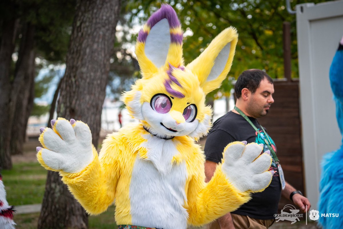 ✨ GoldenHorn Convention ✨ tweet media