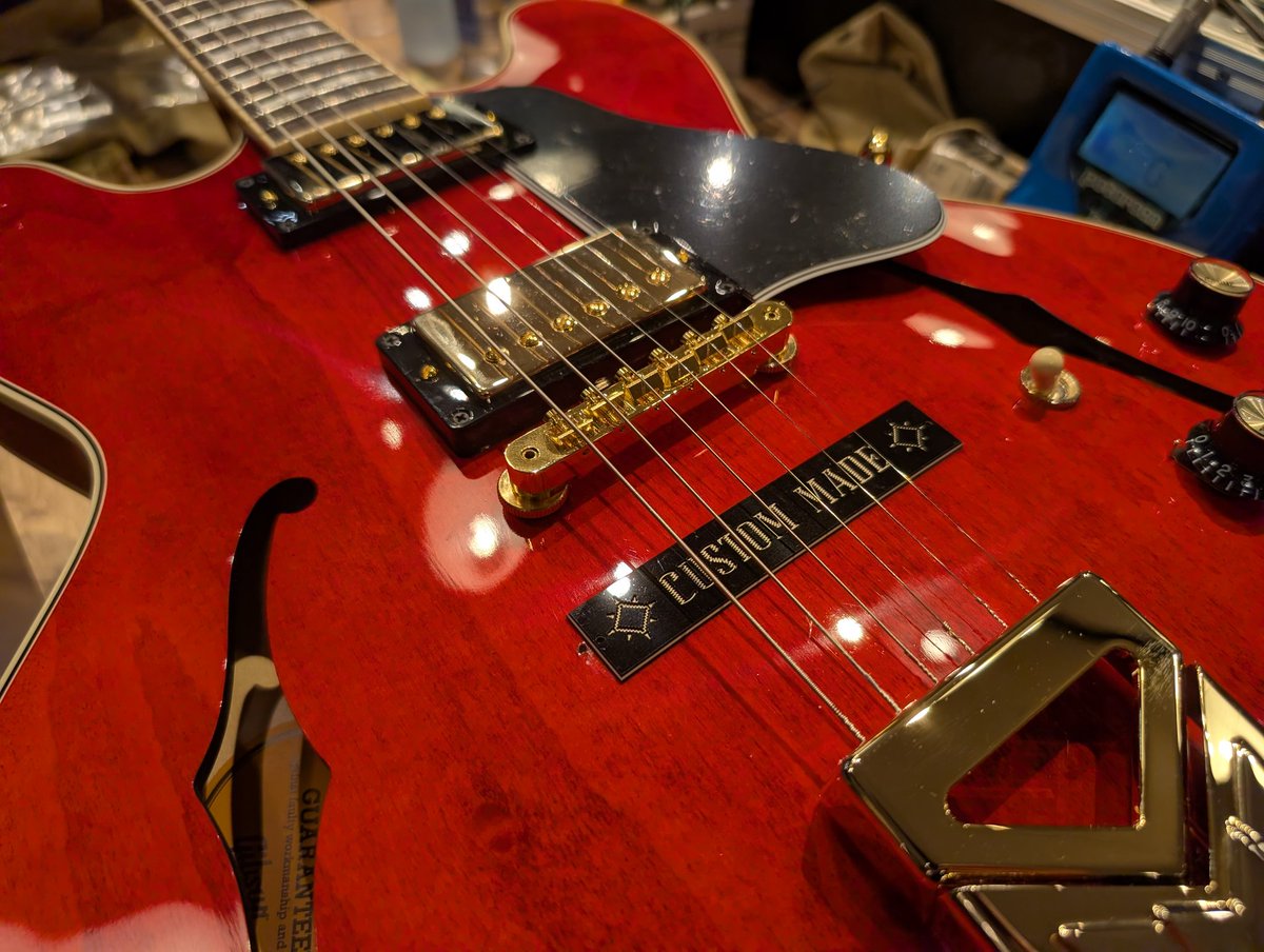 気になっていたギターをふと試しに買ってみた。いや、まだ部屋には