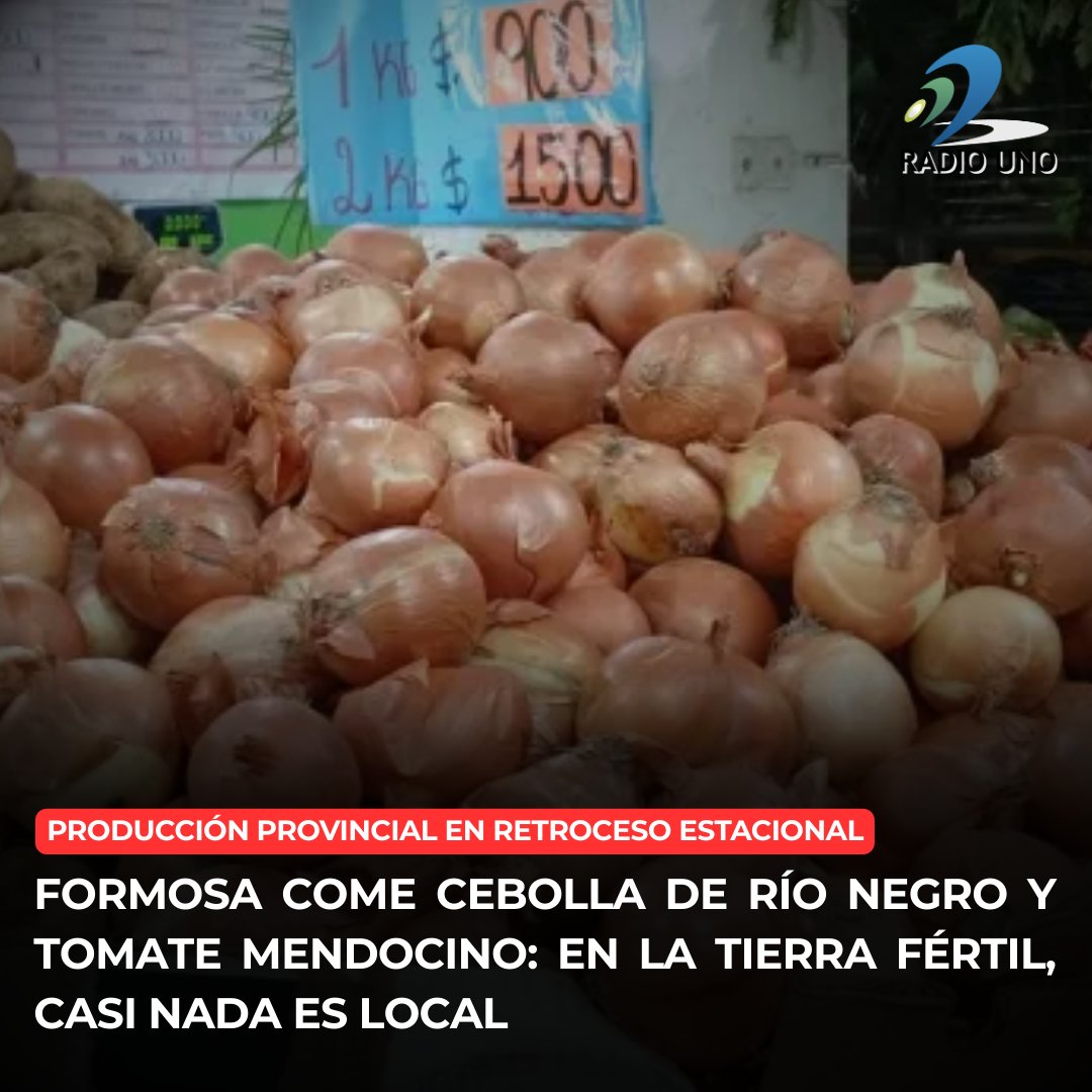 En una provincia históricamente ligada al trabajo de la tierra, hoy gran parte de las verduras y hortalizas que llegan a las mesas formoseñas provienen de otras regiones del país o del exterior. Hernán "Pilo" Sánchez, productor y mayorista de la zona de Villafañe, explicó en