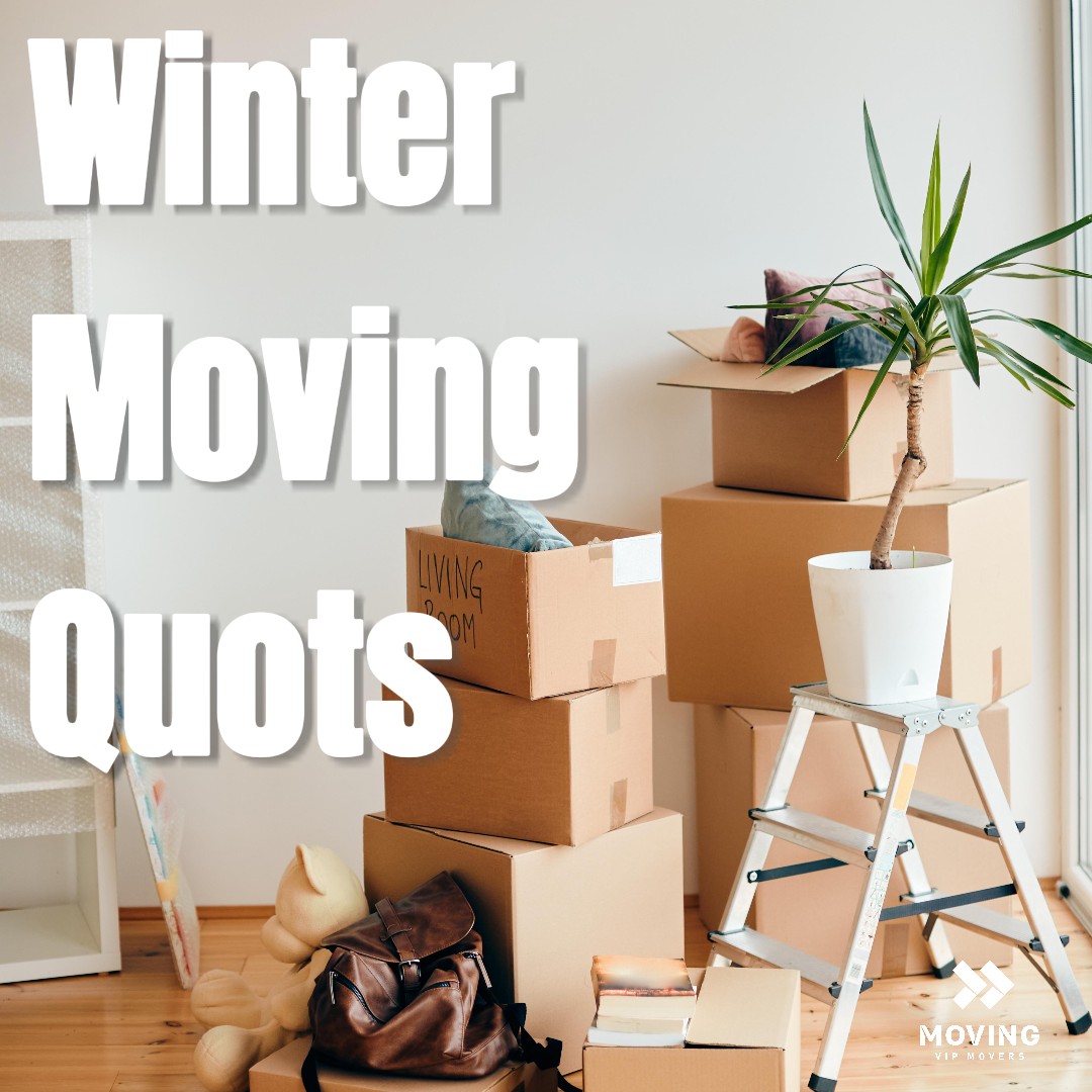 MoVip Movers tweet media