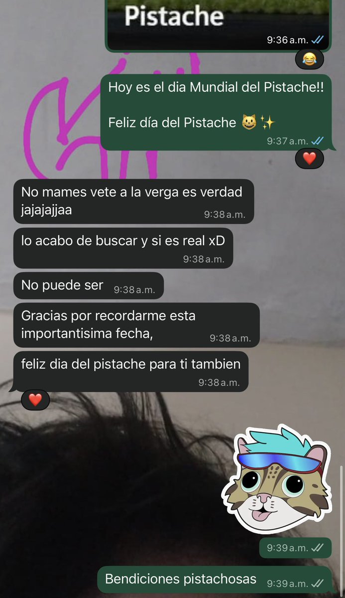 Dos maneras de dar los buenos días, un mismo sentimiento: Pistaches ✨

Feliz día del Pistache a todos 😺✨