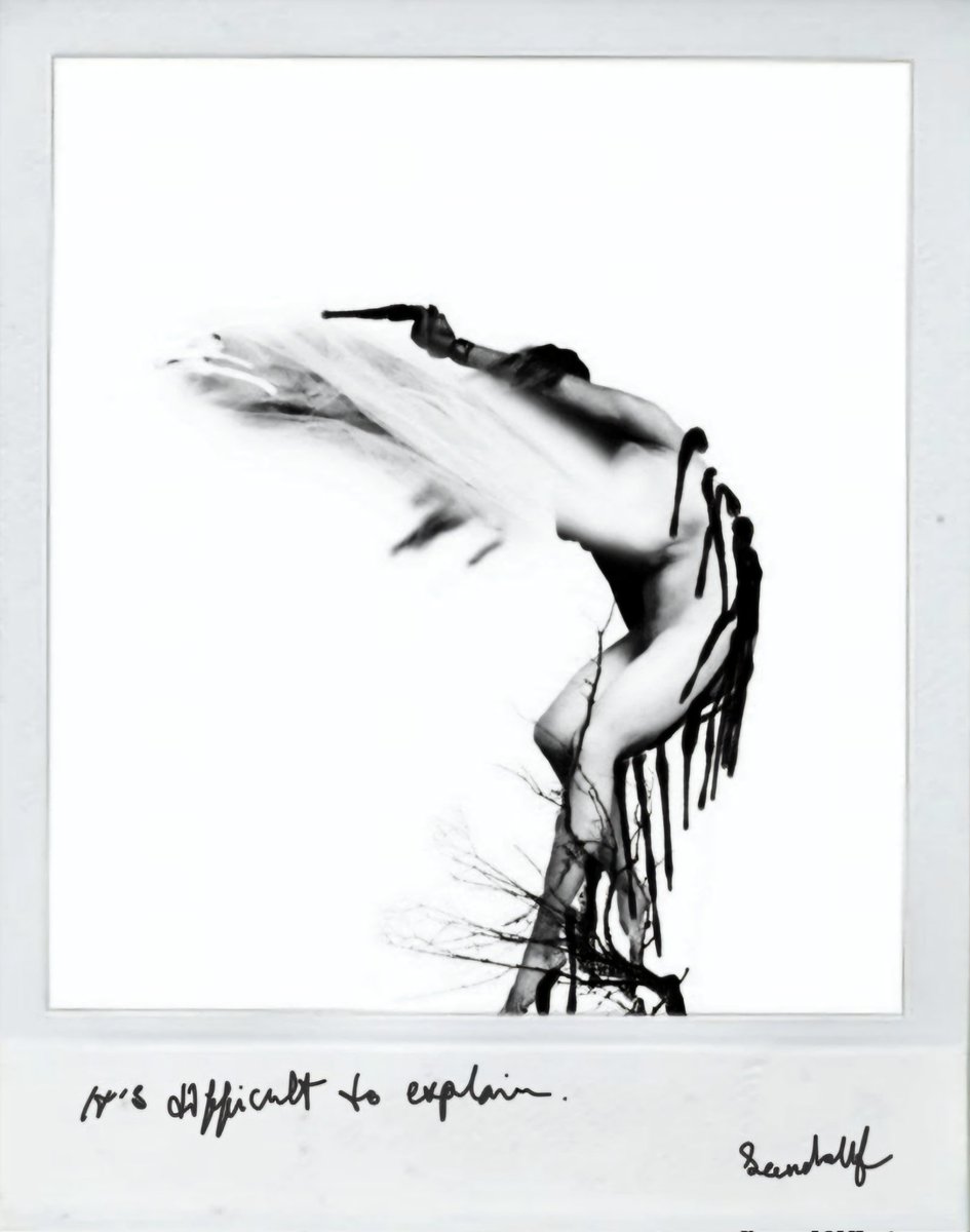 Seendollf tweet media