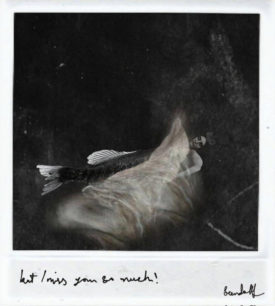 Seendollf tweet media