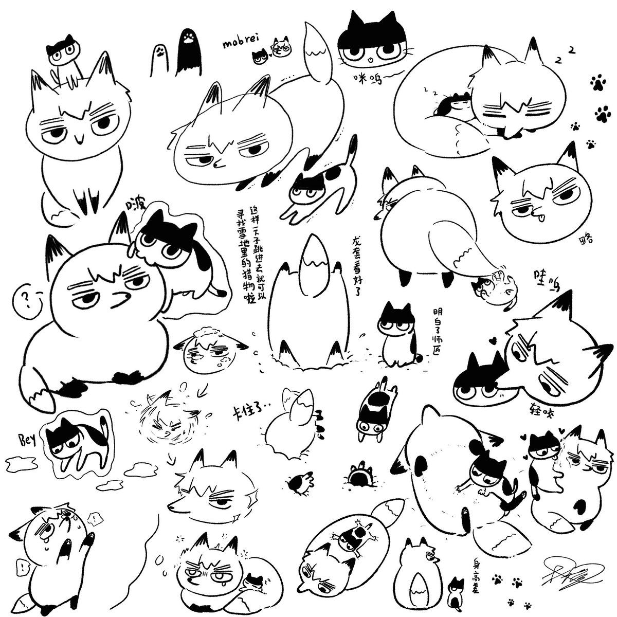 しお♡ tweet media