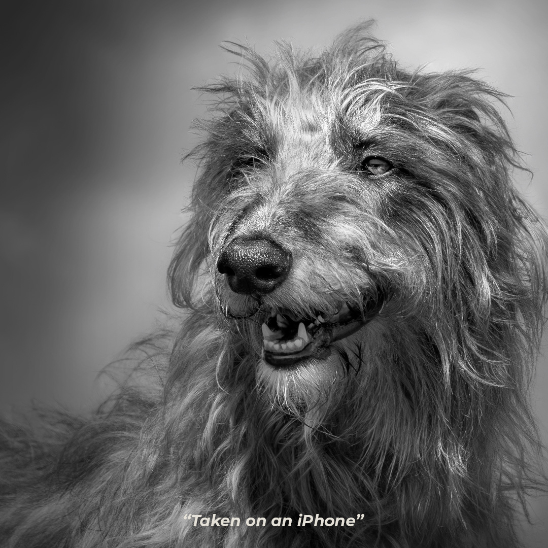 2RIDETHEWORLD tweet media