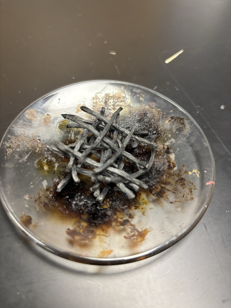 Todd Hollis tweet media