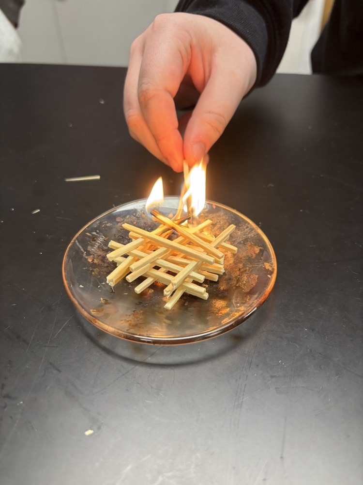 Todd Hollis tweet media