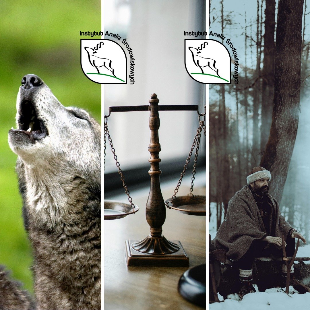 ▶Ilekroć w mediach pojawi się tekst dotyczący policzenia wilków  lub innych gatunków chronionych, uaktywniają się oburzeni pseudoekolodzy z dziesiątego piętra wieżowca, którzy są głusi na wszelkie argumenty społeczne.
▶Nie zgadzamy się, aby o przyszłości decydował populizm.