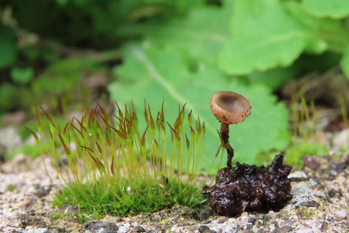 Donna Rainey tweet media