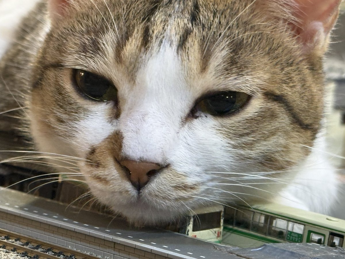 39造 (@mosa_suma_39zo) / Posts / X