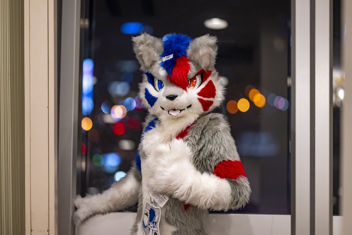 ハム Ham🔜Thaitails🔜FurstClass tweet media