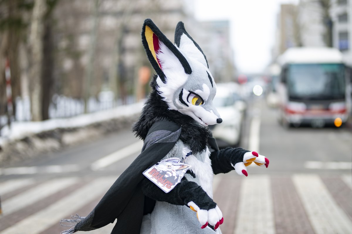 ハム Ham🔜Thaitails🔜FurstClass tweet media