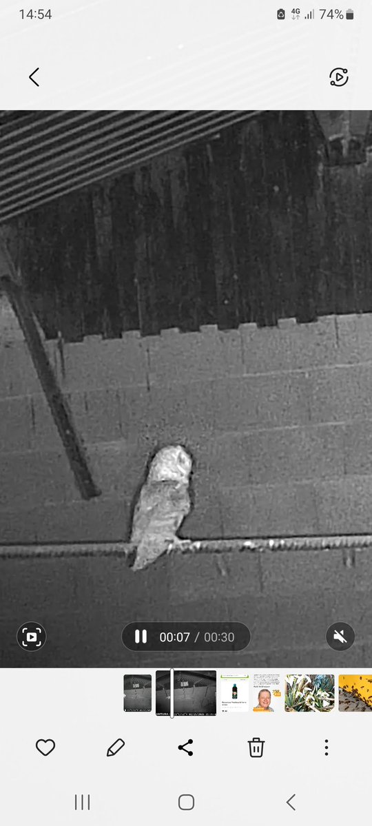 RustpuntDelagelinde tweet media