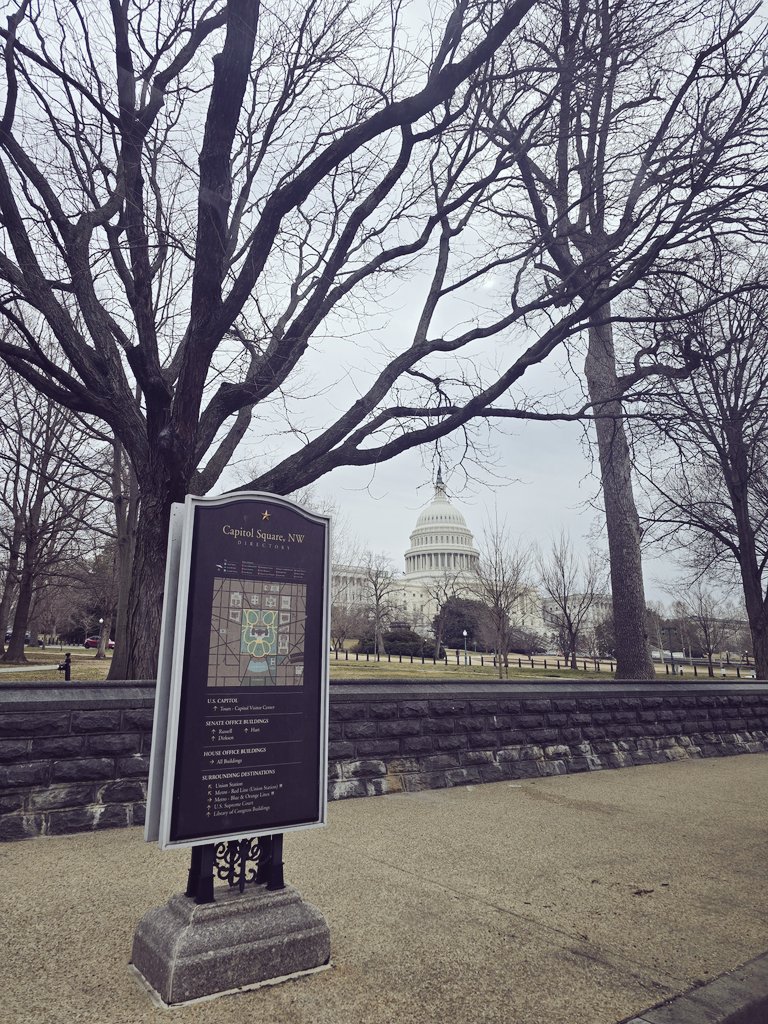 It's Rare Disease Week, we're proud to be among the hundreds of patient advocates in Washington D.C. amplifying individual voices and shedding light on the often-invisible symptoms of rare diseases. <a href="/EveryLifeOrg/">EveryLife Foundation</a> <a href="/RareAdvocates/">RDLA</a> #RareDC2026 #IllinoisRare 🦓
#RareDiseaseDay2026