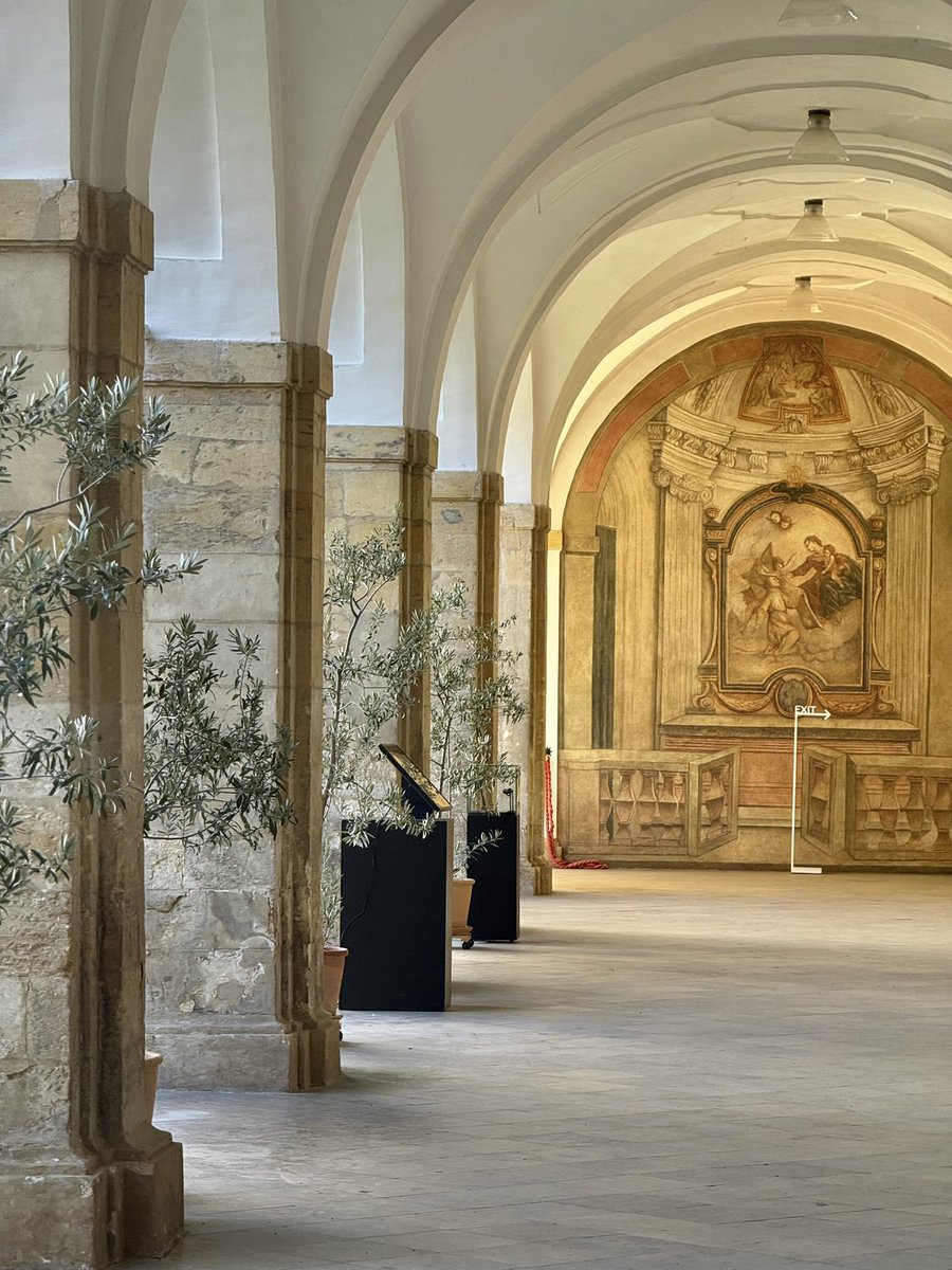 shiner_sam tweet media