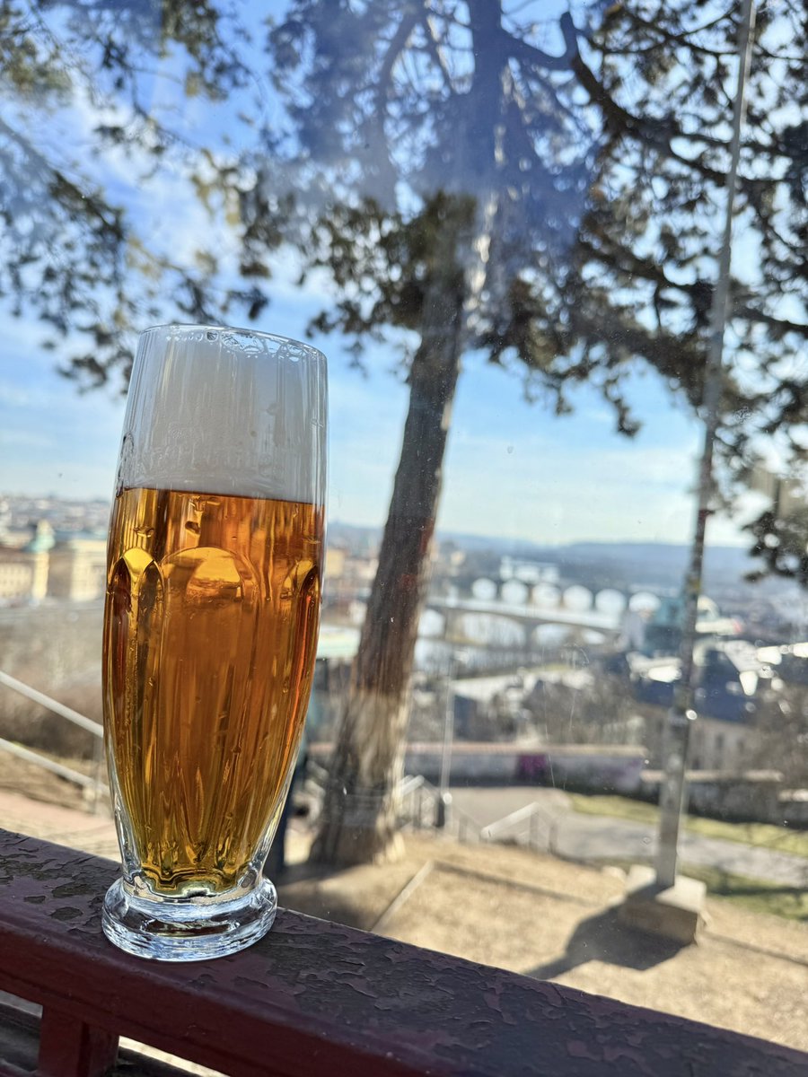 shiner_sam tweet media