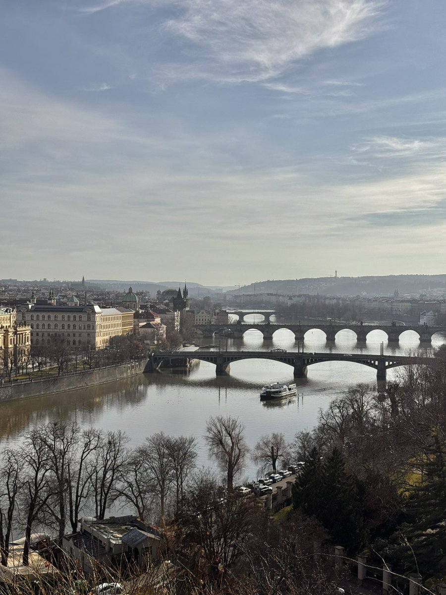 shiner_sam tweet media