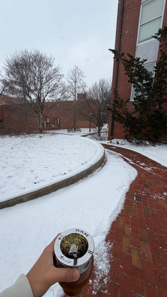 Zooner 🇦🇷 tweet media