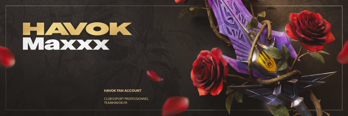 HvK_Maxxx tweet media