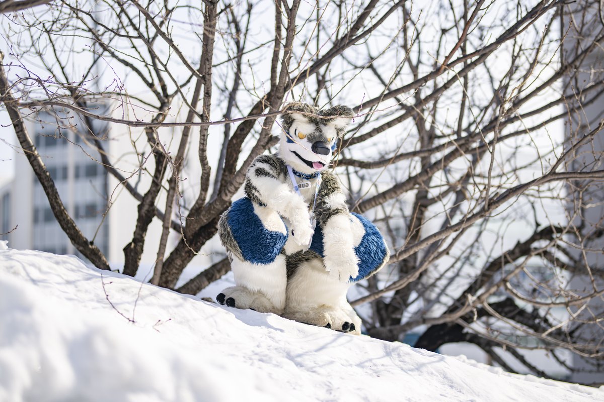 ハム Ham🔜Thaitails🔜FurstClass tweet media