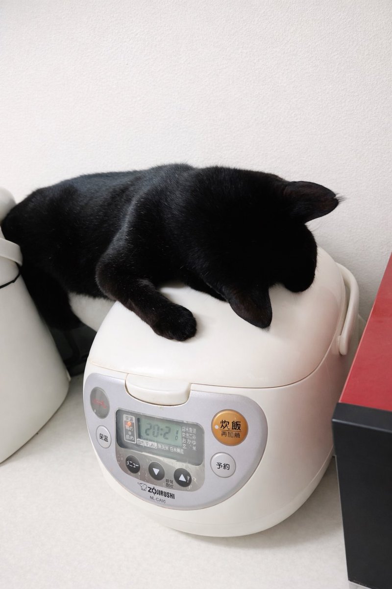 謳馬 (@ohmaworm) / Posts / X