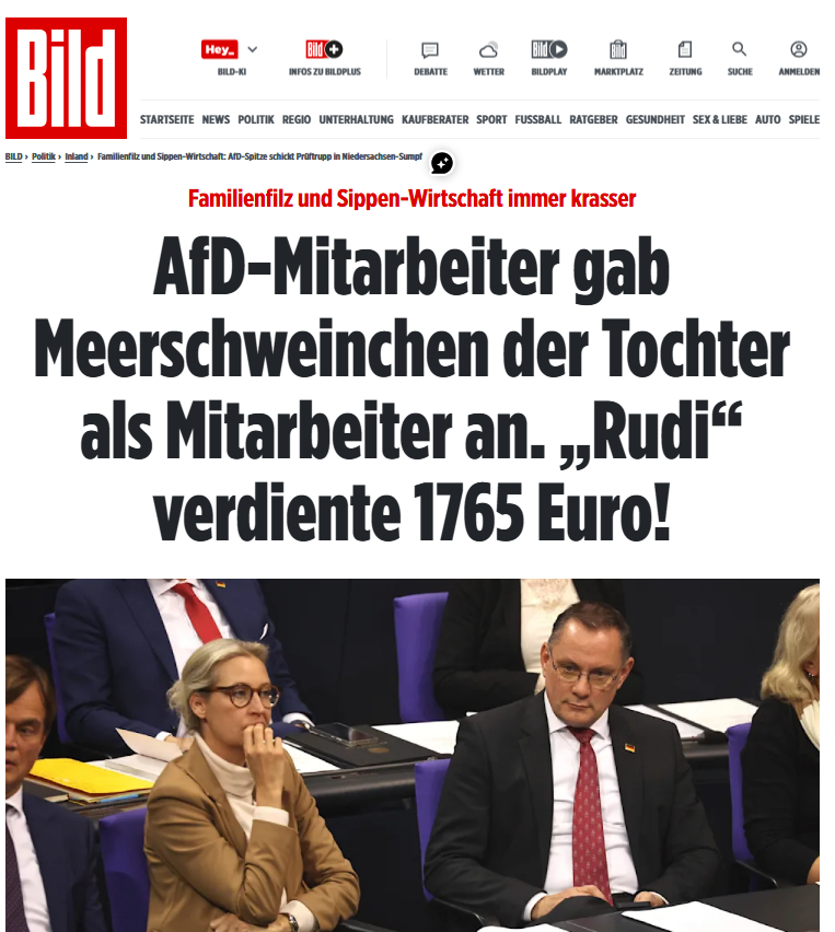 <a href="/Alice_Weidel/">Alice Weidel</a>