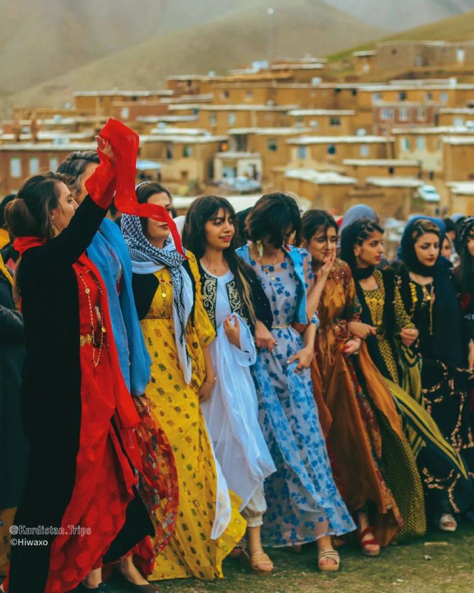 مردم ایران tweet media