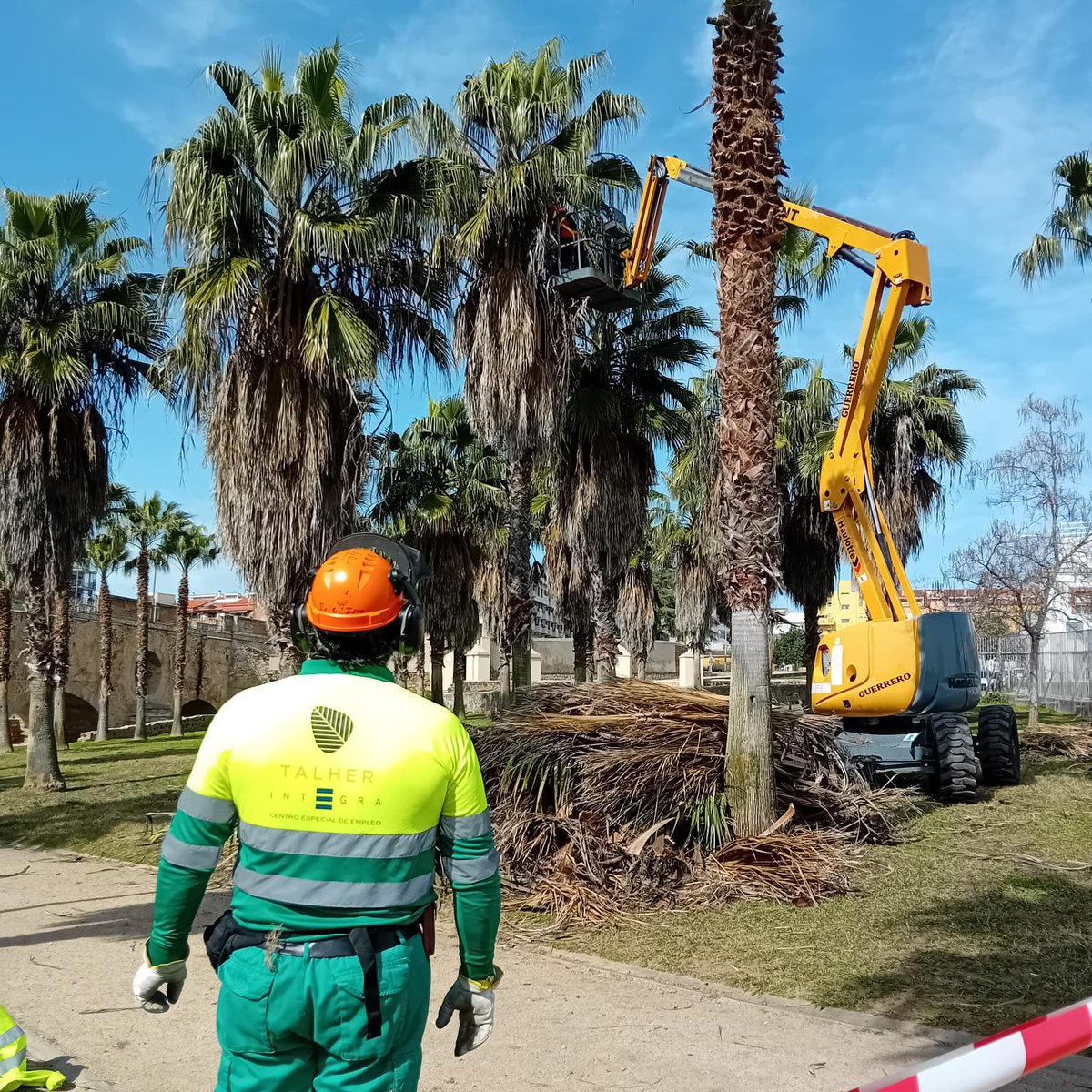 Integra CEE tweet media