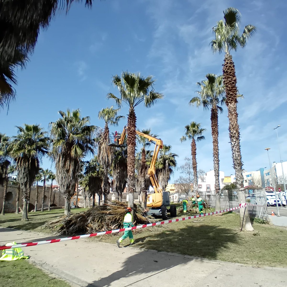 Integra CEE tweet media