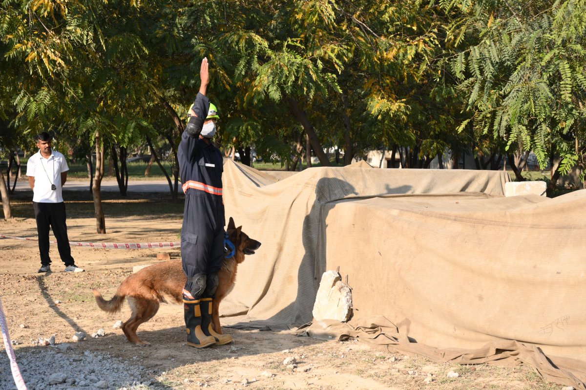 08NDRF's tweet photo. 8th NDRF, successfully organized North Zone CSSR Competition-2026. 171 participants from 7 states including 8 canines showcased advanced search &amp; rescue skills. Winner #HPSDRF. Runner Up #UPSDRF. Both teams advance to the National CSSR Competition-2026 Finals.
 @HP_SDRF @SDRF_UP https://t.co/BlhzdJzMDR