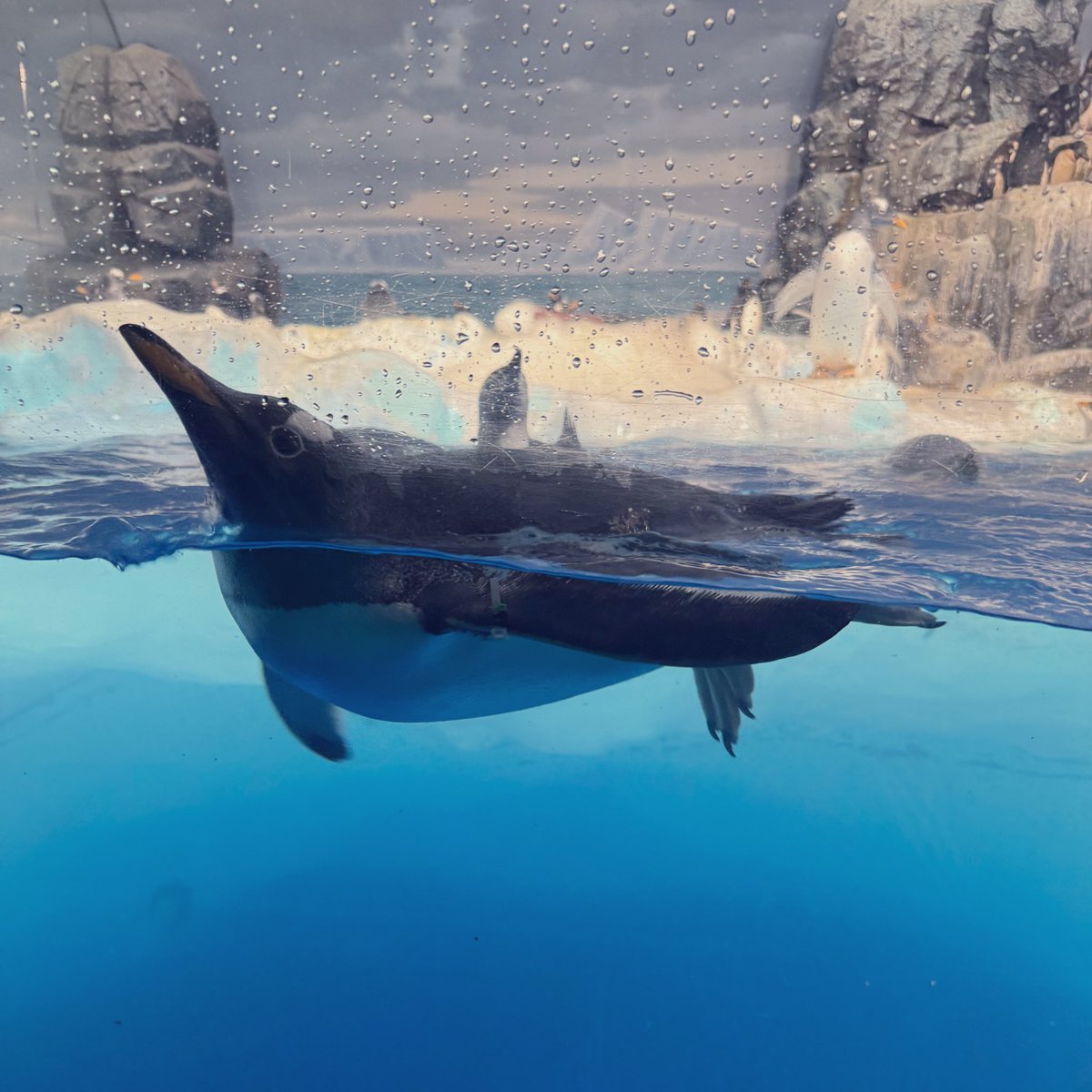 みなさんお疲れ様です(❀ᴗ͈ˬᴗ͈)