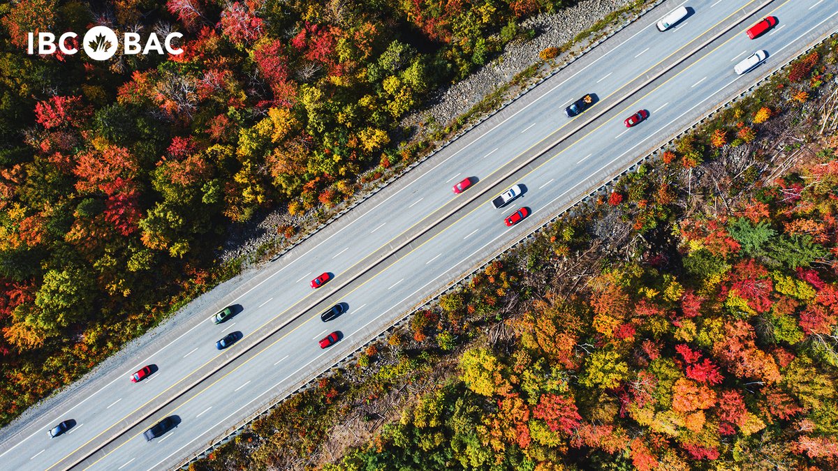 IBC Atlantic tweet media