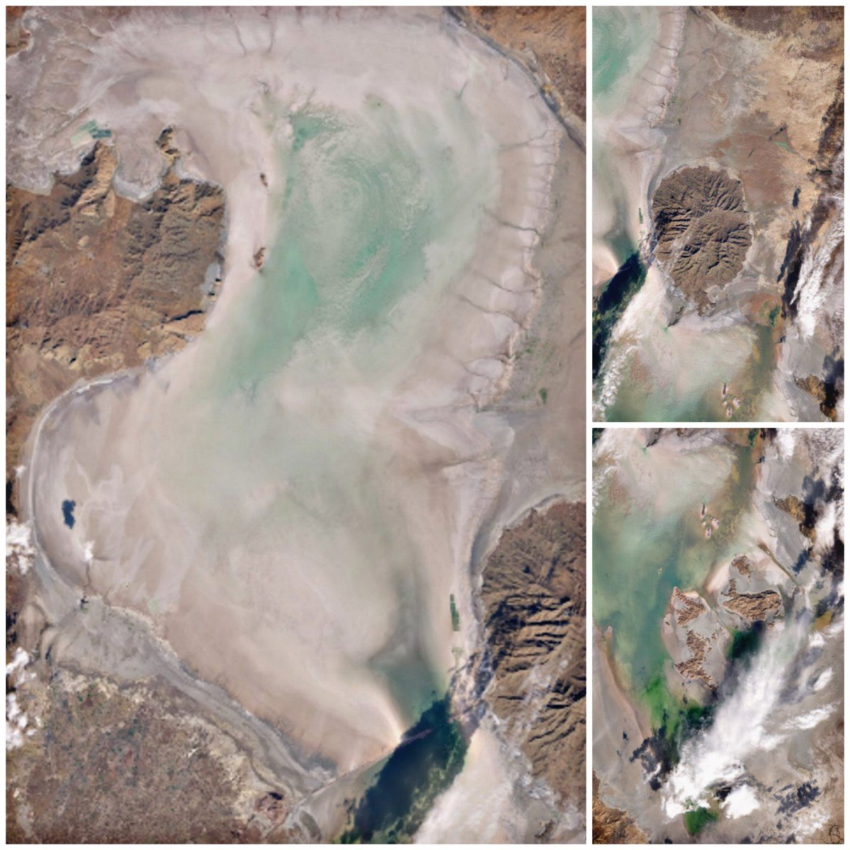 فلات ایران tweet media