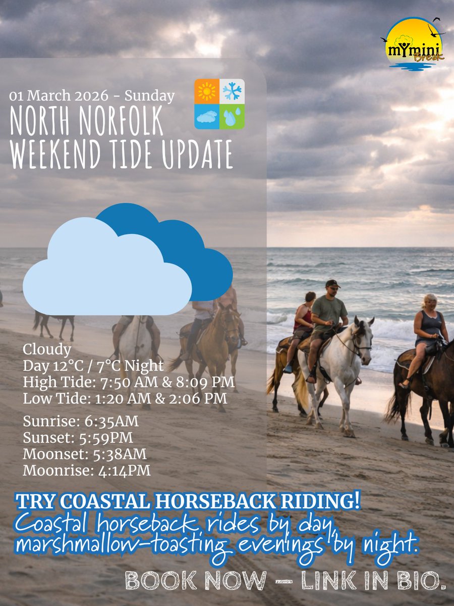 mYminiBreak tweet media