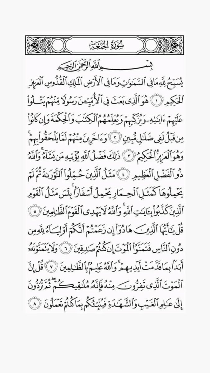 Fariba 🌻 tweet media