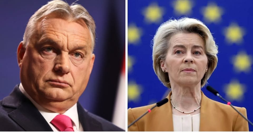 FlashFrance tweet media