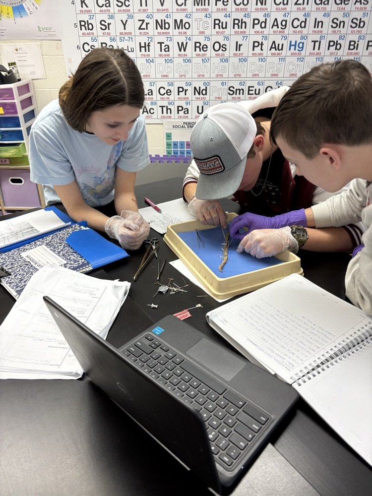 USD 384 Blue Valley-Randolph tweet media