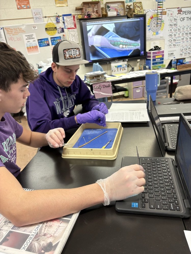 USD 384 Blue Valley-Randolph tweet media