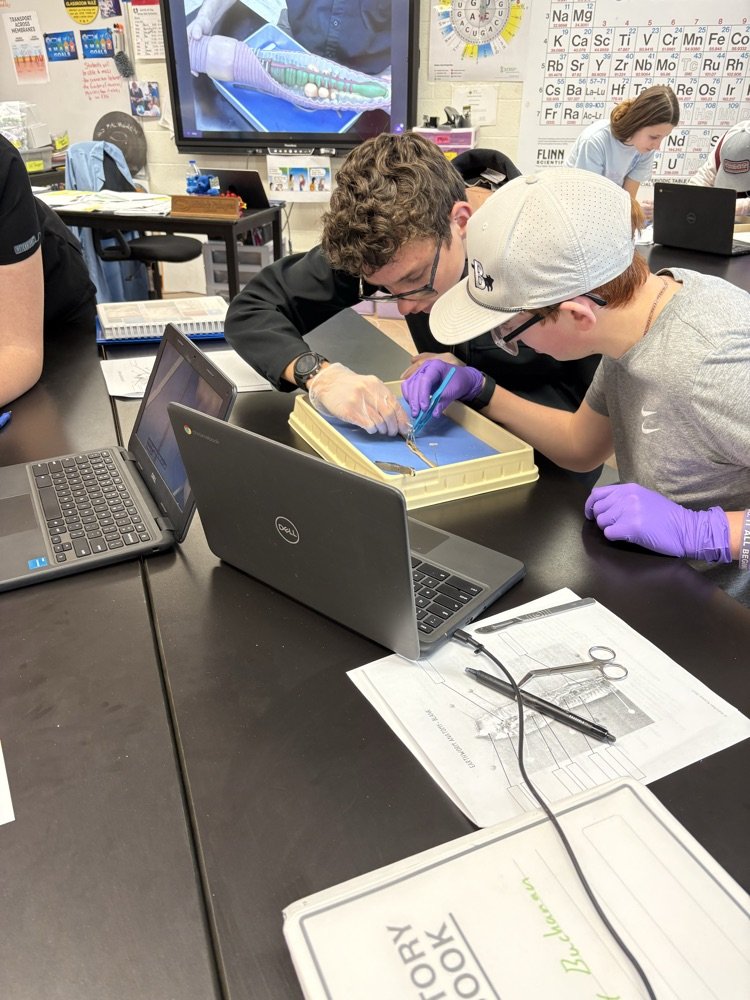 USD 384 Blue Valley-Randolph tweet media